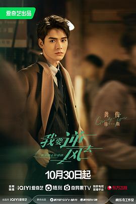 里水网站优化多少钱